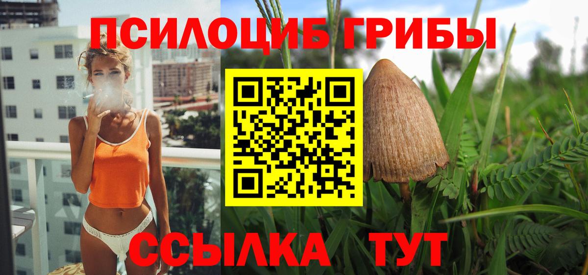 Псилоцибиновые грибы ЛСД  Вход с VPN  Новочеркасск 